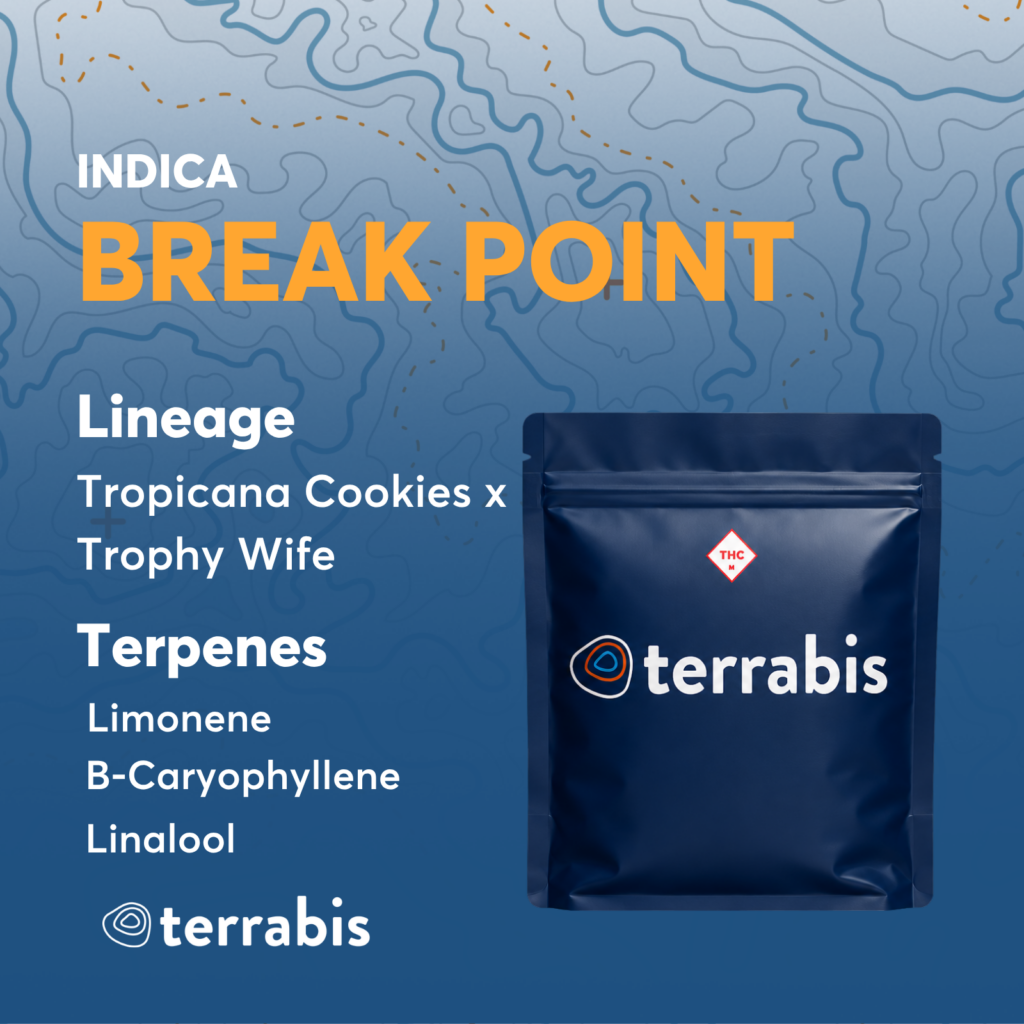 Terrabis Indica Flower Break Point